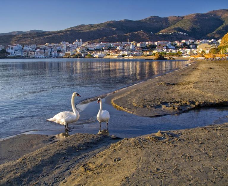 Villa Πλατανακι 1 Family Friendly Ándros Exterior foto